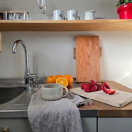 Cozy Nest Below The Mountains With An Amazing View Golnik