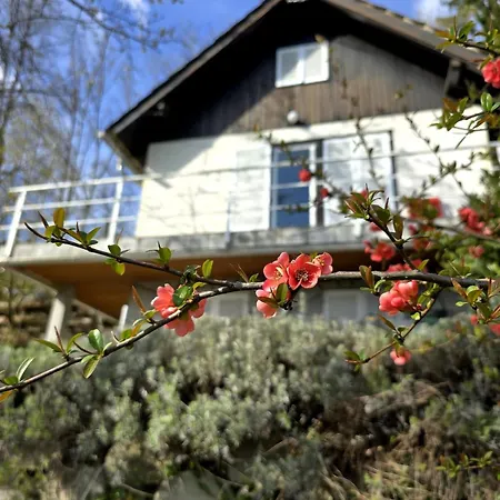Počitniška hiša Cozy Nest Below The Mountains With An Amazing View