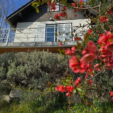 Cozy Nest Below The Mountains With An Amazing View Počitniška hiša Golnik
