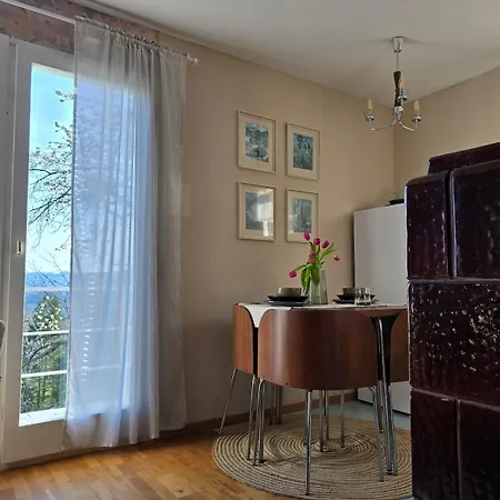 Cozy Nest Below The Mountains With An Amazing View Golnik