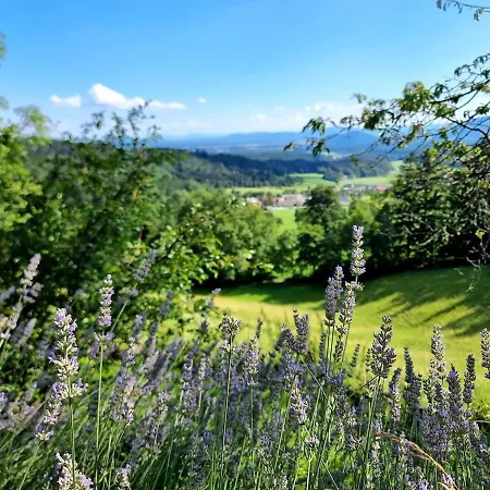 Počitniška hiša Cozy Nest Below The Mountains With An Amazing View